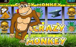 Секрет игрового автомата Сrazy Monkey